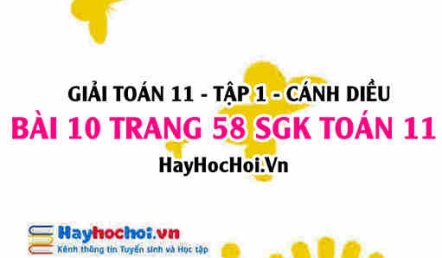 Giải bài 11 trang 58 Toán 11 tập 1 SGK Cánh Diều